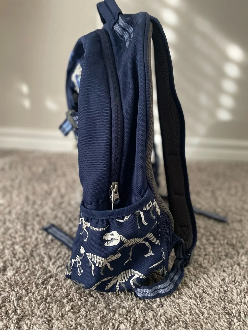 Pottery Barn Kids see as navy